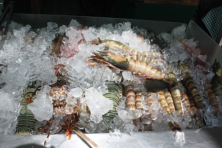 shrimp-1-450