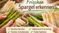 Frischen Spargel erkennen