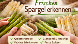 Frischen Spargel erkennen